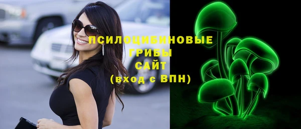 стафф Алексин