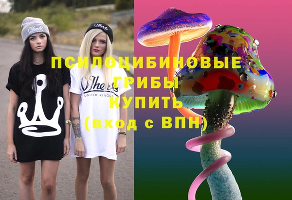 стафф Алексин